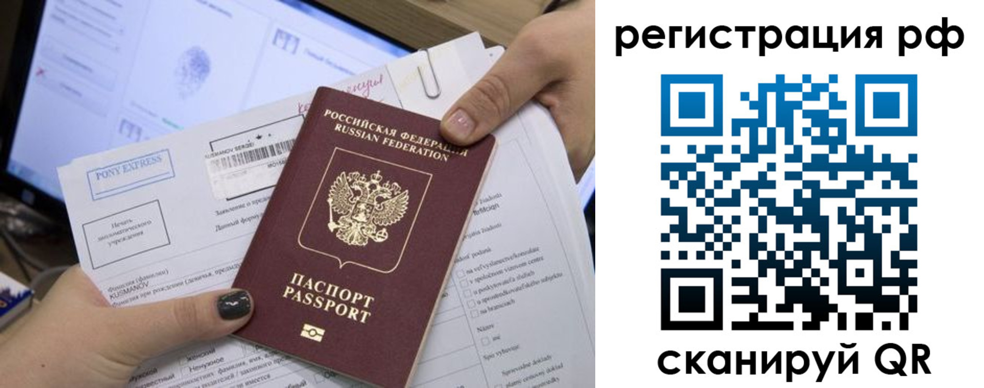 прописка гарантия в Нелидово
